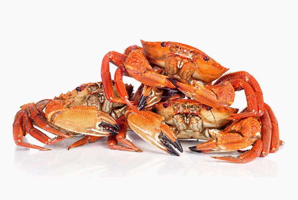 Navalheira