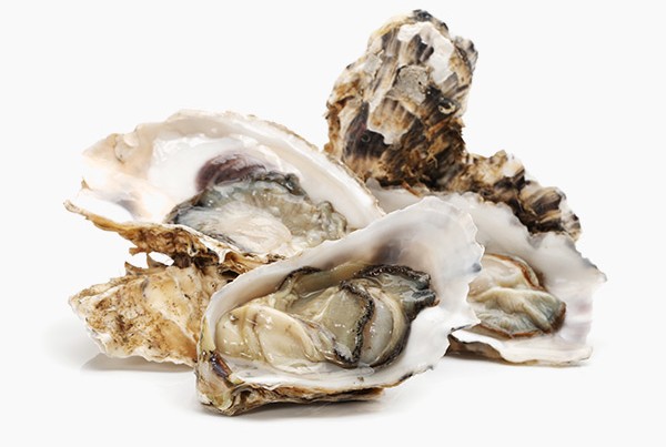 Ostra Portuguesa